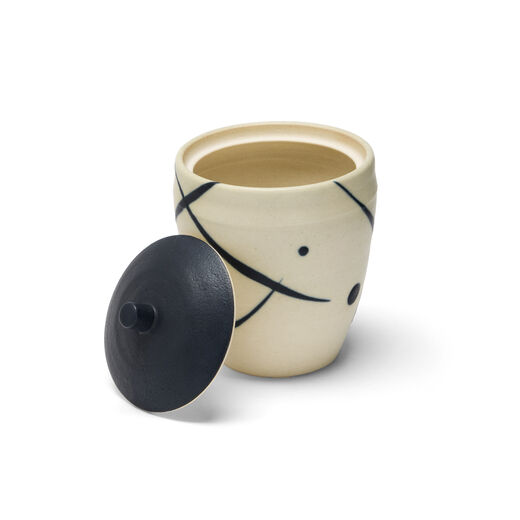 Lidded pot by Hiroyuki Onuki