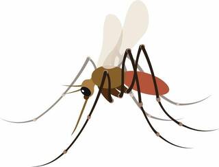 mosquito emoji in .eps format